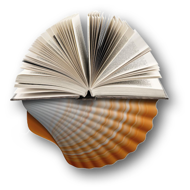 business_kompass_symbol_fmt